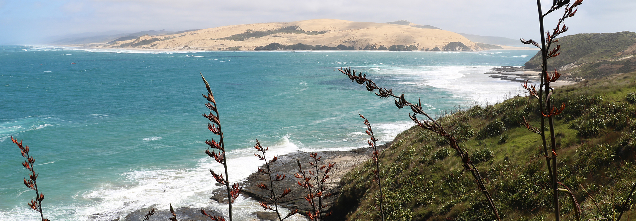 Hokianga harbour 2AA